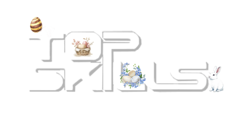 Top Skills s.r.l.