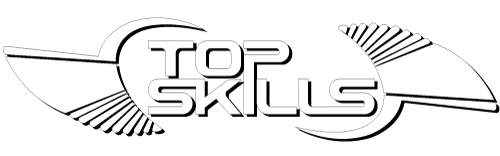 Top Skills s.r.l.